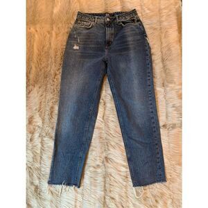BDG Urban Outfitters Distressed Mom Jeans 29W